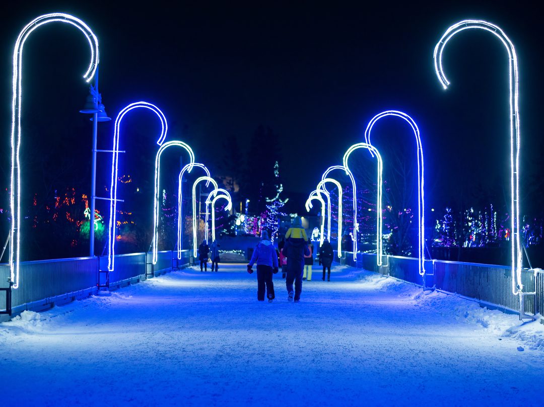 ZOOLIGHTS Wilder Institute/Calgary Zoo